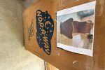 Sale Photo Thumbnail #10