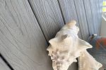 Sale Photo Thumbnail #9