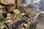 Sale Photo Thumbnail #15