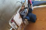 Sale Photo Thumbnail #5
