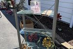 Sale Photo Thumbnail #9
