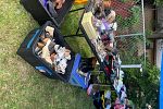 Sale Photo Thumbnail #21
