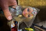 Sale Photo Thumbnail #2