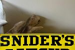Sale Photo Thumbnail #12