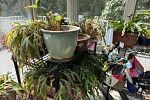 Sale Photo Thumbnail #26