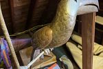 Sale Photo Thumbnail #36
