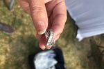 Sale Photo Thumbnail #6