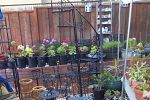 Sale Photo Thumbnail #20