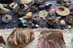 Sale Photo Thumbnail #19