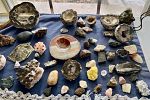 Sale Photo Thumbnail #20