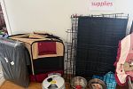 Sale Photo Thumbnail #6