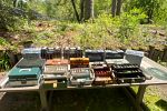 Sale Photo Thumbnail #2