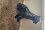 Sale Photo Thumbnail #42