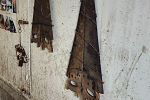 Sale Photo Thumbnail #43