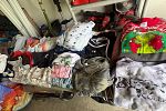 Sale Photo Thumbnail #11
