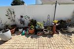 Sale Photo Thumbnail #47