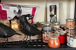 Sale Photo Thumbnail #42