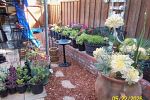 Sale Photo Thumbnail #20