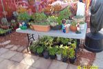 Sale Photo Thumbnail #13