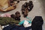 Sale Photo Thumbnail #22
