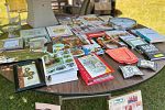 Sale Photo Thumbnail #9