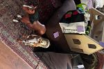 Sale Photo Thumbnail #15