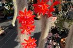 Sale Photo Thumbnail #16