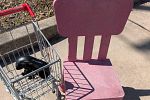 Sale Photo Thumbnail #14
