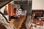 Sale Photo Thumbnail #181