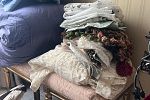 Sale Photo Thumbnail #275