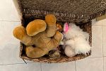 Sale Photo Thumbnail #337