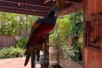 Sale Photo Thumbnail #376