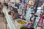 Sale Photo Thumbnail #18