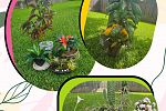Sale Photo Thumbnail #46