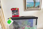 Sale Photo Thumbnail #31