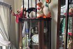 Sale Photo Thumbnail #35