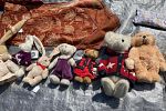 Sale Photo Thumbnail #11