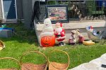 Sale Photo Thumbnail #11