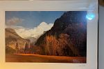 Sale Photo Thumbnail #299