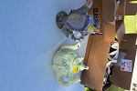 Sale Photo Thumbnail #37