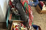 Sale Photo Thumbnail #29