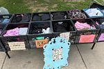 Sale Photo Thumbnail #3