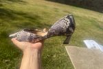 Sale Photo Thumbnail #25