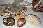 Sale Photo Thumbnail #31