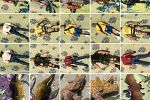 Sale Photo Thumbnail #21