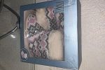 Sale Photo Thumbnail #20