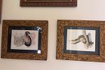 Sale Photo Thumbnail #38