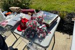 Sale Photo Thumbnail #3