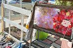 Sale Photo Thumbnail #2