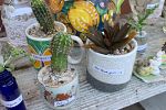 Sale Photo Thumbnail #12